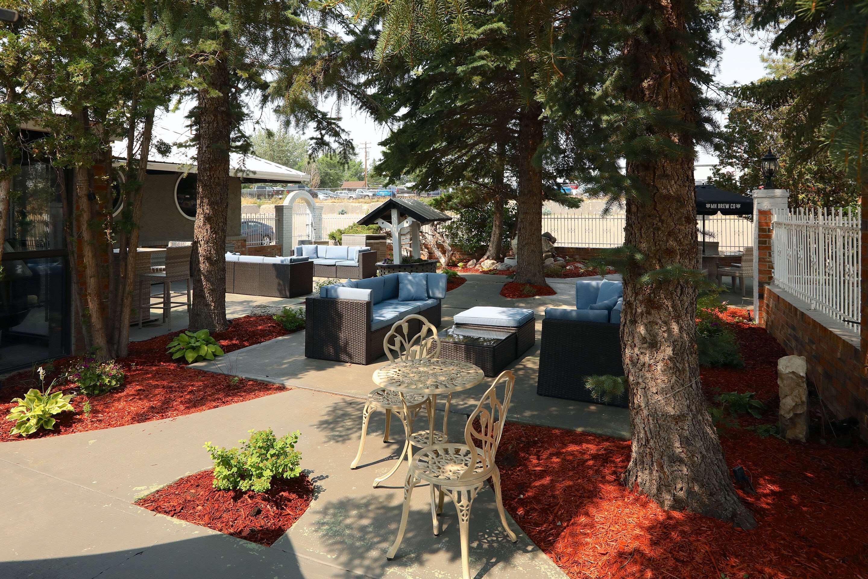 Clarion Pointe Hotell Medicine Hat Exteriör bild